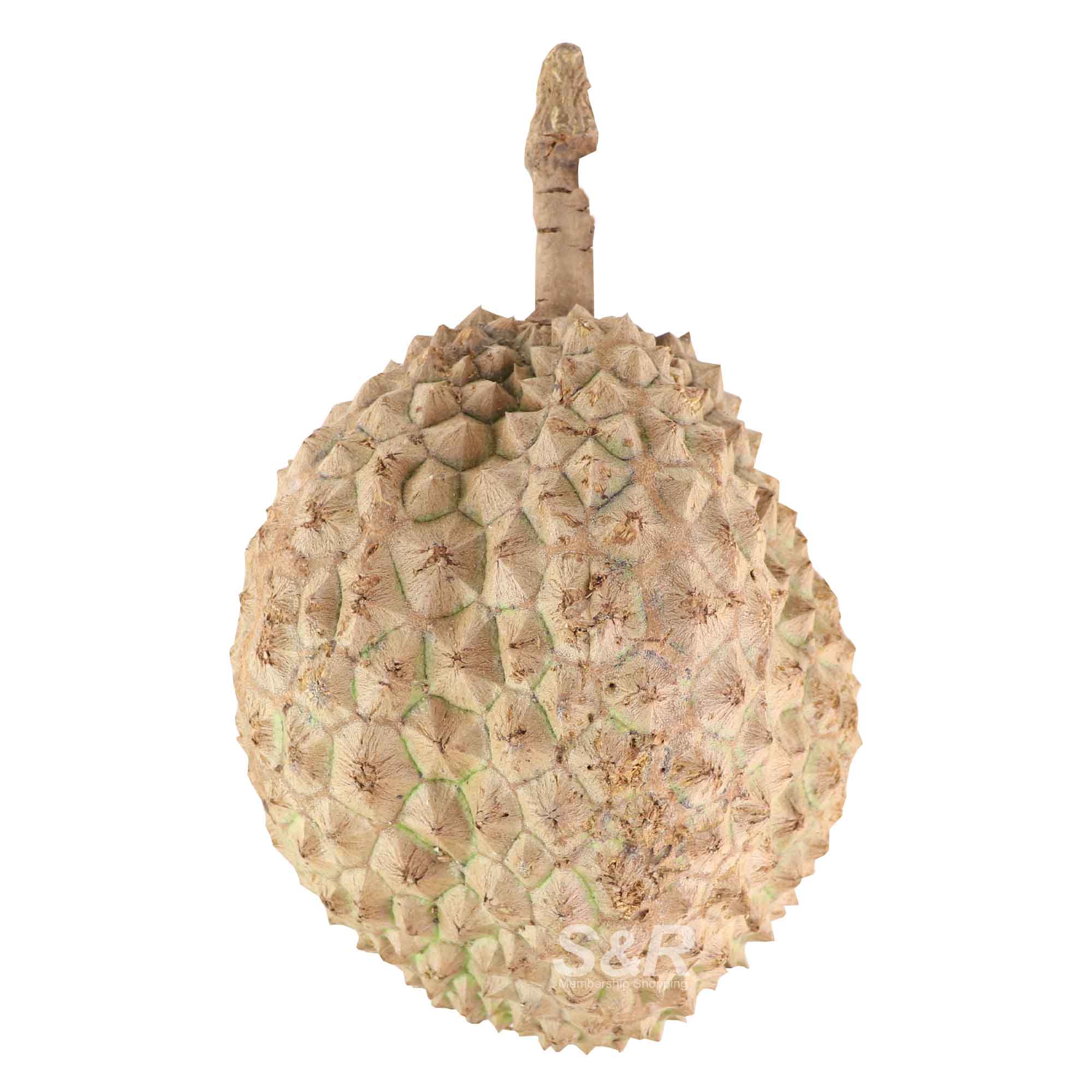 S&R Chanee Durian approx. 3.5kg